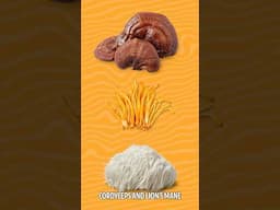 #Reishi, #Cordyceps, & #LionsMane: The Ultimate Sleep Trio!