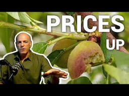 Food Prices Will Never Stop Going Up