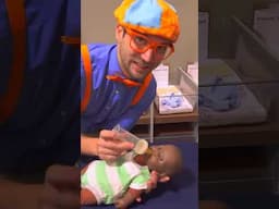 Blippi Plays with Baby Dolls! Fun!!