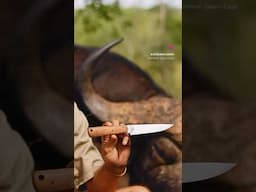 - This is Untamed Knife Company - We aim to bring you quality blades made in Zimbabwe. untamedknives