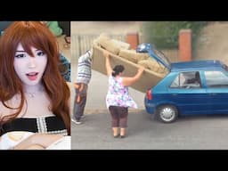 Humans are Getting Dumber | Emiru Reacts to @DailyDoseOfInternet