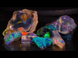 Rough opal cutting LIVE