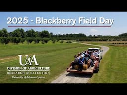 2025 Blackberry Field Day