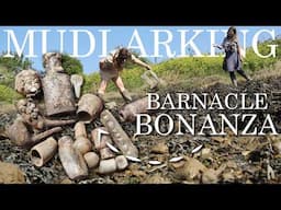 A VERY Surprising Creepy Barnacle Treasure! Mudlarking A Muddy Foreshore!