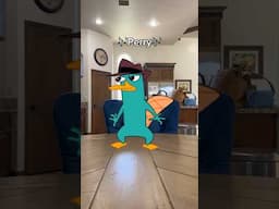 job interview with Perry the Platypus