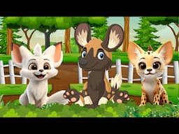 Cute Animals Collection: Ocelot, Hyena, Fox, Otter, Stoat - Animal Moments