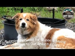 Splitting Firewood for Season & Saying Goodbye to Our Lucy