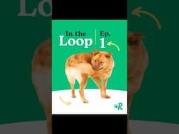 In the Loop Ep 1: Goodbye Tipping Cap 👋