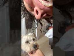 singing opera for my dog nearly every morning
