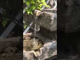 This brings a relaxing sound to the garden #waterfountain #garden #sound #shorts #relaxing