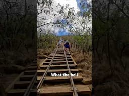 Hikers Amnesia Anyone??? #hikingadventures #funnyshorts #solotravel