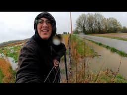 Homestead Life This Week:  Flooding, Baby Goat Cam, Dairy Processing & Plant Haul