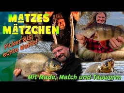 Matzes Mätzchen - Picker, Barsch und fette Aale!