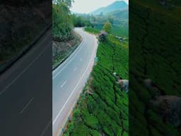 Gap road 🍃