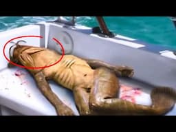 Thil mak 15 (15 bizarre) hmuh chhuah. Thailand ah bawk aw. Re-post