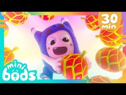 Yes Yes Fruits! | 30 Minutes of Minibods | Funny Preschool Cartoons for Toddlers