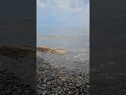 Звуки Черного моря | Морской Прибой