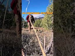 Discovery! Ancient Native American Ruin! #ancienthistory #exploration