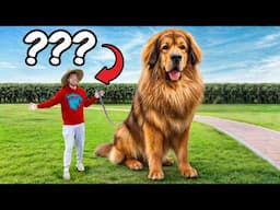 Guessing YOUTUBERS only by their DOG! 🐶
