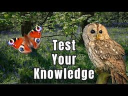 UK Wildlife Quiz - Can you answer these 8 Nature Questions?