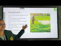 PATH171, Lec60. Phanerogamic Plant Parasites – Cuscuta, Loranthus, Orobanche and Striga Ranjitha T