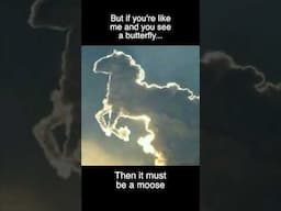 What do you see? #horse #fyp #clouds #carsonjames #horselife #buckaroo #vaquero #equestrian