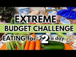 ✨EXTREME GROCERY BUDGET CHALLENGE with MEALS