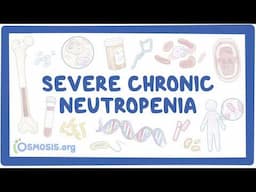 Severe Chronic Neutropenia (SCN) Explained