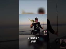 ¿Funciona la gambita de Breaden en la pesca real?