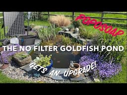 Upgrading the No Filter Goldfish Pond by fitting a Poposoap solar filter