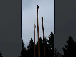 Speed climbing at Demming Logging Sports Show - Brian Bartow