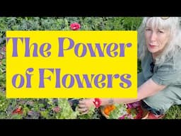 The Power of Flowers