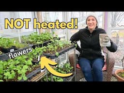 how I use my Greenhouse in early spring! / Seed Starting & Hardening off