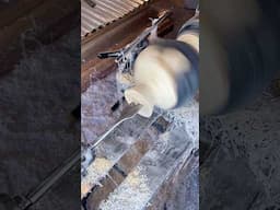 Drilling