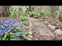 End of April Walkabout & Garden Tour 🌸 🥰🏵
