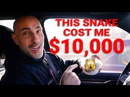 Why This Snake Cost Me $10,000