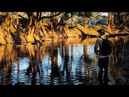 April Murray Cod Fishing; The iPhone That Got Away