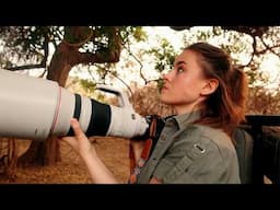 Safari of a Lifetime! - LEOPARD and his dinner right above me