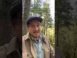 What do the People of Canada actually want from Government?  Spoiler: Nature!