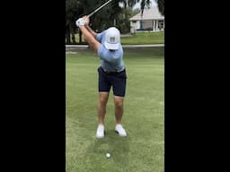 Spinner Wedges