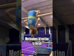 Pre-Team Gymnastics Practice