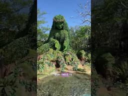 Moana Area Secret 🤫 #disneywithkids #disneytips