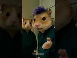 Cute Hamsters in the Squid Game World Part 4
