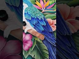 Loro colorido