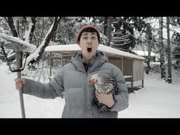What it's like to homestead in the dead of winter.