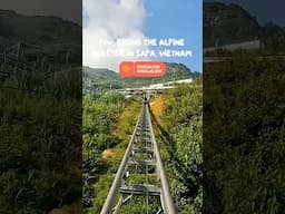A must try! Alpine Coaster in Sapa Vietnam! #sapavietnam #vietnam