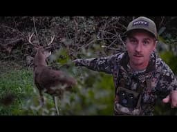 October Bucks are on the MOVE!