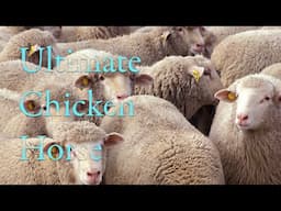 Ultimate Chicken Horse (with friends) ( + Crab Game + Steam shopping)