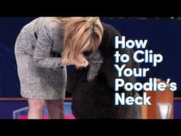How to Clip Your Poodle's Neck