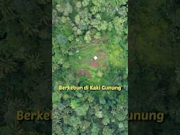 Berkebun di Kaki Gunung di kawasan Banyumas, Jawa Tengah